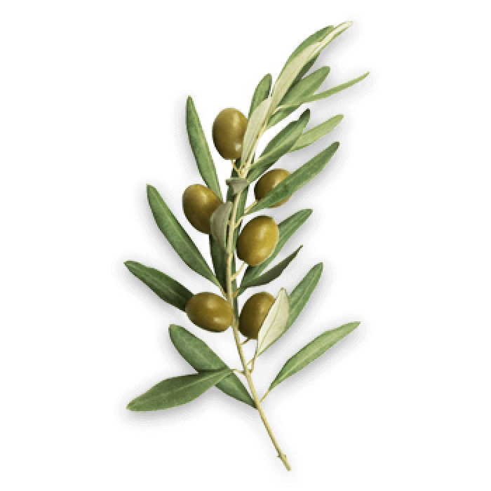 Olive leaf extract